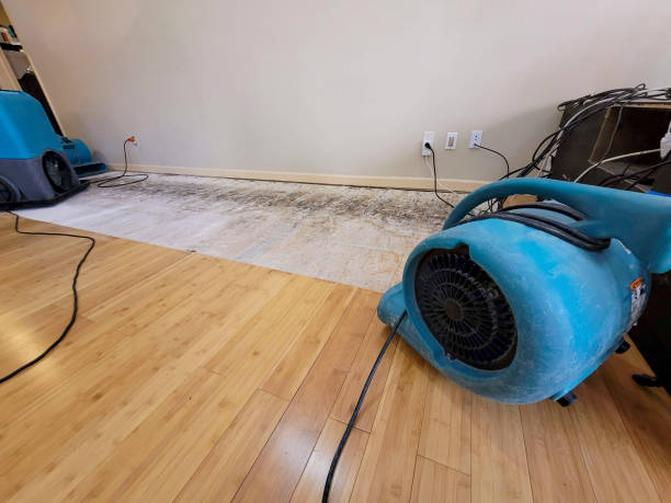 Professional Water Damage Repair technician working in West Mansfield, OH